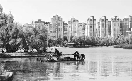　　7月9日，工人在定西湖清理水草。
　　夏日的定西湖湖面如镜，倒映着岸边茂密的垂柳。公园里小径蜿蜒，树影斑驳摇曳，把暑气轻轻驱散。
　　新定西·定西日报记者 石建强 摄