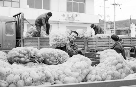 　　5月31日，岷县申都乡受灾群众正在乡农贸市场院内领取刚运送来的马铃薯良种。
　　岷县“5·24”暴雨冰雹灾害发生后，为了让受灾群众的农田及早改种、补种，甘肃翔晟农业科技有限公司发扬“一方有难、八方支援”精神，为申都乡无偿捐赠早熟马铃薯原种18.7吨。
 新定西·定西日报通讯员      包建华 摄